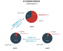 印尼雅加(jia)達-民(mín)航大(da)藍洞：疫情影響下的(de)國(guo)內(nei)航司春運概況係(xi)列二