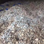 蘇黎世空運價格防損小(xiǎo)貼士 - 海運木(mù)薯幹貨物(wù)的(de)黴變風險及(ji)應對措施